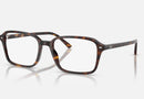 RX5431 / Polished Havana/Clear(2012) / 54-18-145