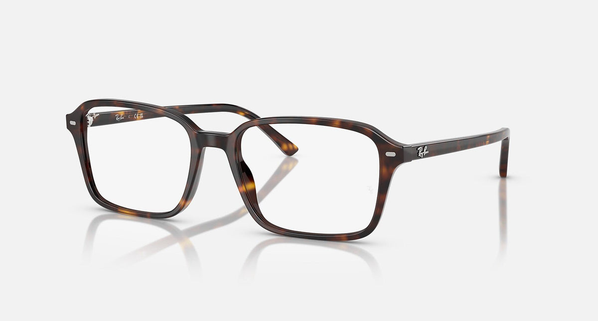 RX5431 / Polished Havana/Clear(2012) / 54-18-145