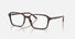 RX5431 / Polished Havana/Clear(2012) / 54-18-145