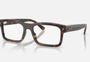 RX5435 / Polished Havana(2012) / 54-19-145