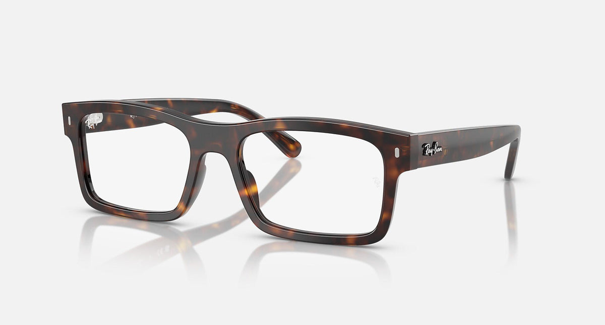 RX5435 / Polished Havana(2012) / 54-19-145