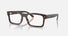 RX5435 / Polished Havana(2012) / 54-19-145