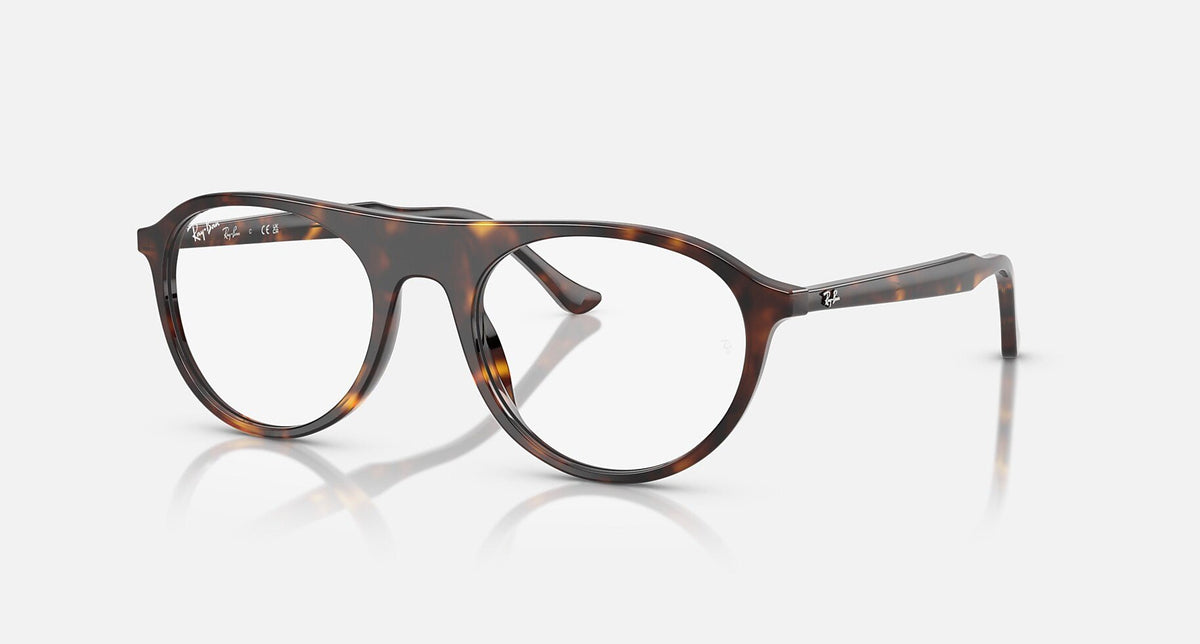 RX5441 / Polished Havana(2012) / 51-20-145