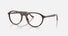 RX5441 / Polished Havana(2012) / 53-20-145