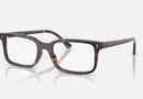 RX5445 / Polished Havana(2012) / 52-19-145