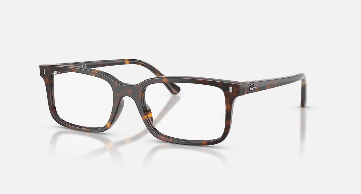 RX5445 / Polished Havana(2012) / 52-19-145
