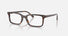 RX5445 / Polished Havana(2012) / 52-19-145