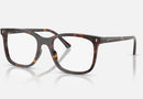 RX5446 / Polished Havana(2012) / 51-19-145