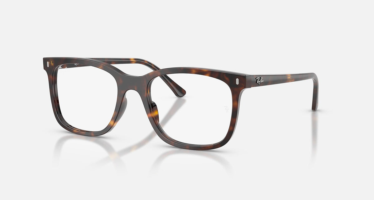 RX5446 / Polished Havana(2012) / 51-19-145