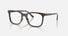 RX5446 / Polished Havana(2012) / 51-19-145