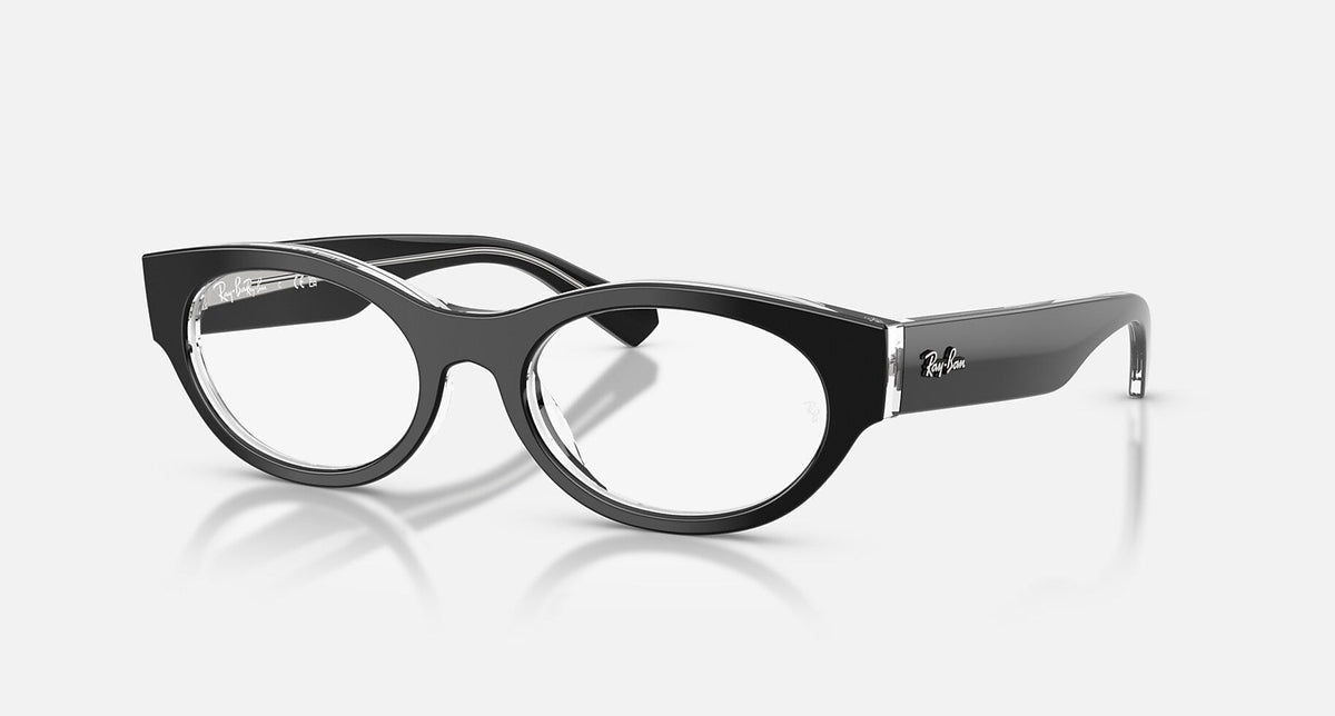 RX5447 / Polished Black On Transparent(2034) / 51-19-145