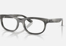 RX5489 / Polished Striped Grey(8400) / 54-19-145