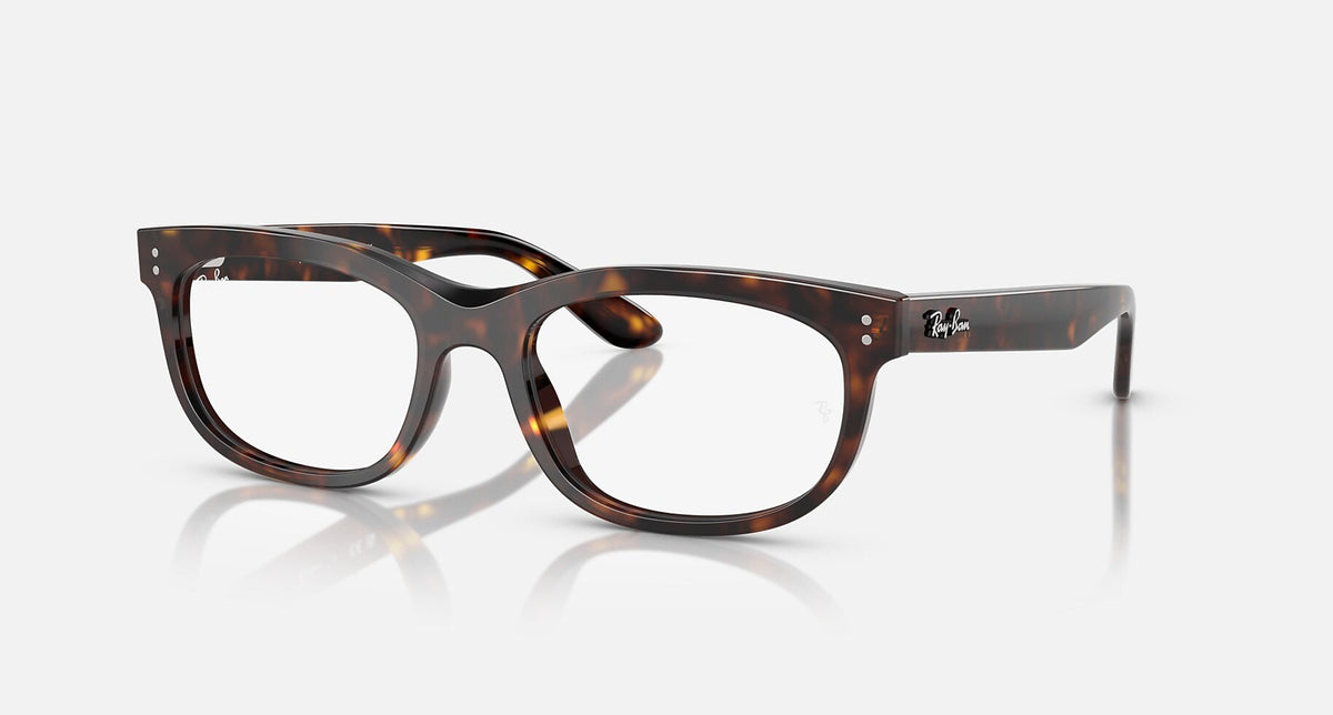 RX5489 / Polished Havana(2012) / 54-19-145