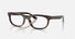 RX5489 / Polished Havana(2012) / 54-19-145