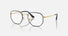 RX6448 / Polished Black On Gold/Clear(3175) / 51-21-145