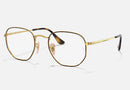 RX6448 / Polished Havana On Gold/Clear(2945) / 51-21-145