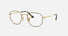 RX6448 / Polished Havana On Gold/Clear(2945) / 51-21-145