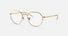 RX6465 / Polished Gold/Clear(3086) / 49-20-140