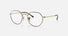 RX6465 / Polished Havana On Gold/Clear(2945) / 49-20-140