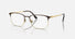 RX6494 / Polished Havana On Gold/Clear(2945) / 54-18-145