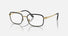 RX6495 / Polished Black On Gold/Clear(2991) / 52-19-145