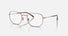 RX6496 / Polished Rose Gold/Clear(3094) / 51-20-145