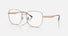 RX6503D / Polished Copper/Clear(2943) / 55-18-145