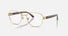 RX6543 / Polished Arista Gold/Clear(2500) / 52-20-145