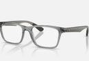RX7025 / Polished Light Grey/Clear(8475) / 53-17-145
