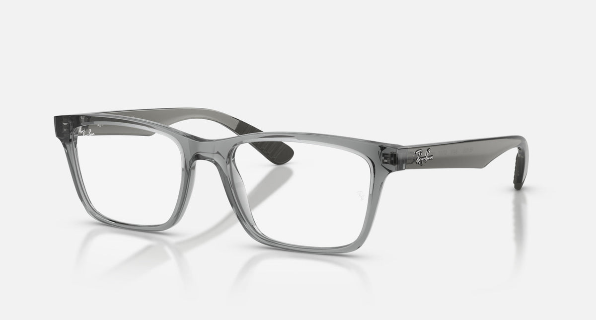 RX7025 / Polished Light Grey/Clear(8475) / 53-17-145