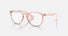 RX7046 / Polished Transparent Pink/Clear(8338) / 51-18-140