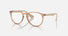 RX7046 / Polished Transparent Brown/Clear(8339) / 51-18-140