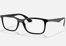 RX7047 / Polished Black/Clear(2000) / 54-17-140