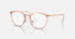 RX7140 / Polished Transparent Pink/Clear(8335) / 49-20-150