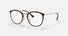 RX7140 / Polished Havana/Clear(2012) / 51-20-150