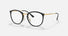 RX7140 / Polished Black/Clear(2000) / 51-20-150
