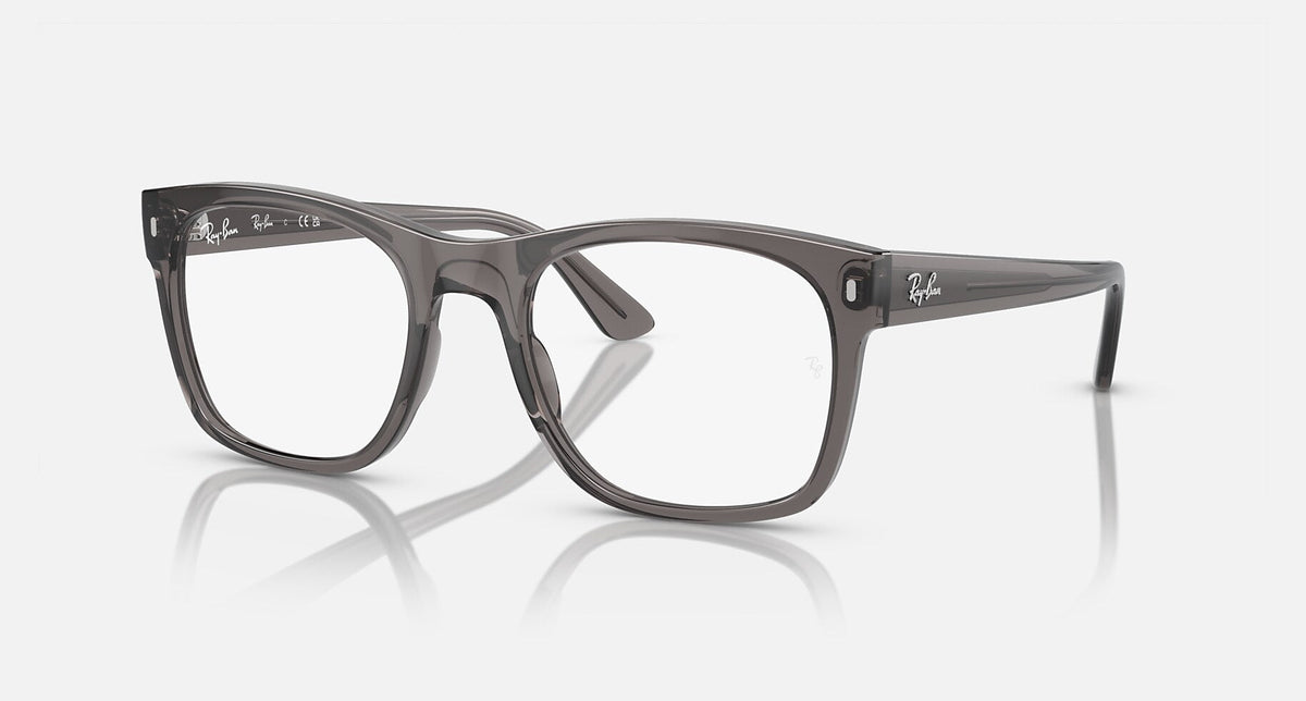 RX7228 / Polished Opal Dark Grey/Clear(8257) / 55-21-145