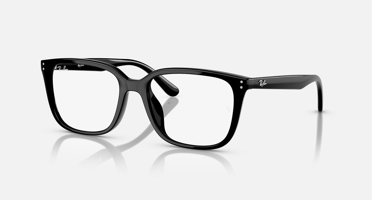 RX7248D / Polished Black/Clear(2000) / 55-18-145