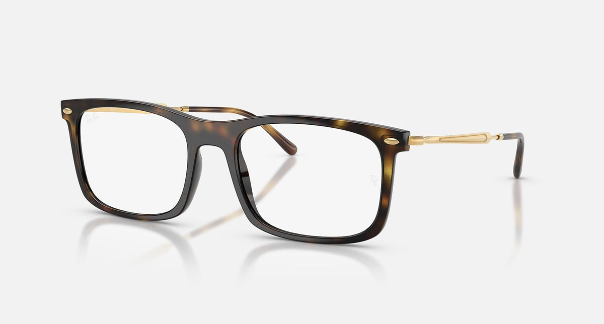 RX7260 / Polished Havana/Clear(2012) / 54-19-150