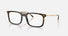RX7260 / Polished Havana/Clear(2012) / 54-19-150