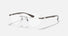 RX8766 / Polished Light Brown/Clear(1131) / 51-17-145