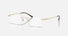 RX8781D / Polished Light Gold/Clear(1251) / 56-17-145