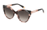 SFU683 FURLA / Pink Tortoise/Brown Gradient(01GT) / 55-16-135