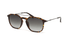SPLL76M-Police / Polished Havana/Smoke Gradient(978P) / 53-19-145