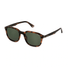 SPLL81M-Police / Havana/Green(836Y) / 53-20-145