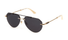 SPLN42-Police / Polished Rose Gold/Smoke Grey(0302) / 59-15-145