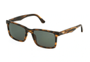 SPLP21-Police / Shiny Stripped Brown/Green(0836) / 54-20-145
