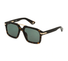 SPLP28-Forty 1 Police / Dark Havana Glossy/Grey Green(0722) / 56-19-150