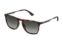 SPLQ80E-Police / Glossy Havana/Smoke Gradient(828P) / 55-18-145