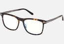 FT6038-B-Tomford / Dark Havana/Blue Block(052) / 56-16-145